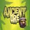 Ancient Ore Level 25