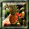 BuZZ Squares Fruits