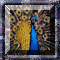 BuZZ Squares Peacock