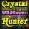 Crystal Hunter Wildflowers