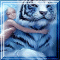 Fantasy Tiger - Hidden Stars