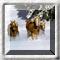 Find The Difference - Animals 2