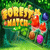 Forest Match Level 008