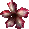 Hidden Objects - Palace of Flowers