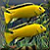 Under Water - Hidden Objects