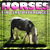 Spot the Differences - Horses v2