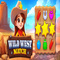 Wild West Match Level 024