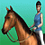 Horse Jumping 2