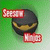 Seesaw Ninjas
