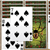Spider Solitaire.