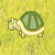 Turbo Turtle